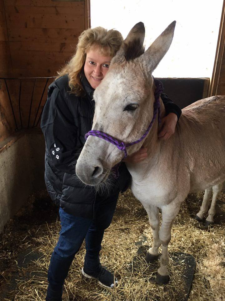 Zelda the Zonkey.
She is far better than perfect.